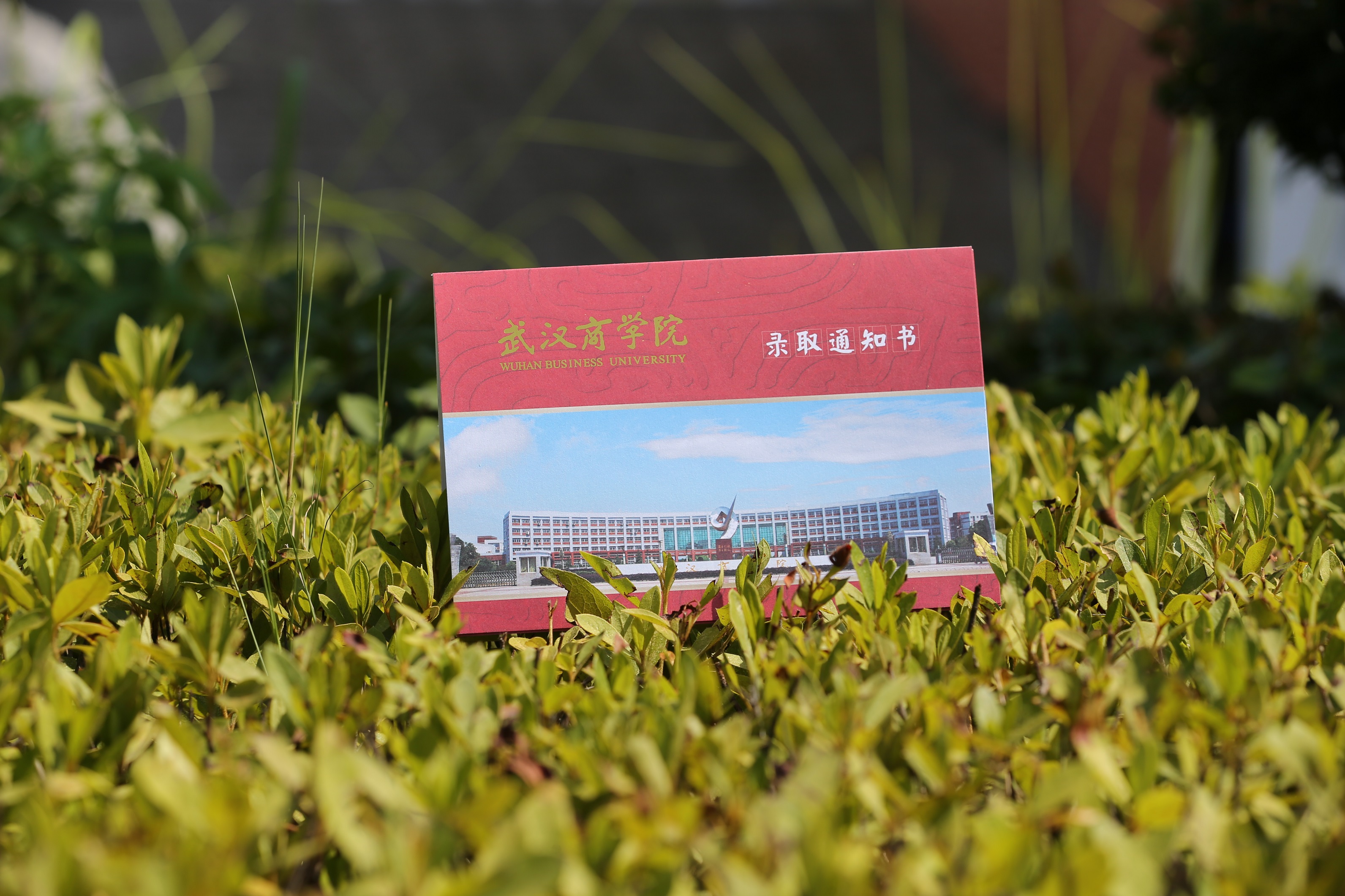 2021年武汉商学院紧缺人才全日制自考本科助学班
